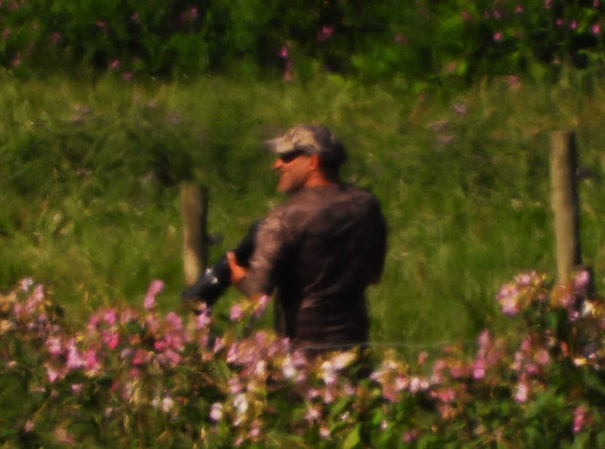 RingersWm's tweet photo. Appeal for Identification

We’re seeking to identify the individual pictured after the disturbance of a Sche 1 protected bird at an active nest.

Their presence caused the adult birds to leave the nest potentially putting vulnerable chicks at risk during the current extreme heat. https://t.co/Sqf4vSQAbv