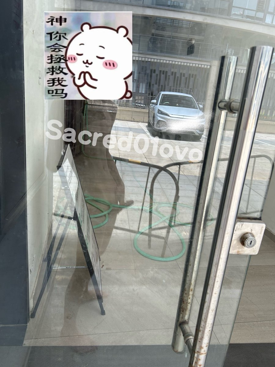 Sacred01ovo's tweet photo. 快来跟我一起游泳口牙 喵喵喵 #男高 #游泳 #side https://t.co/Ieo6CmfBes