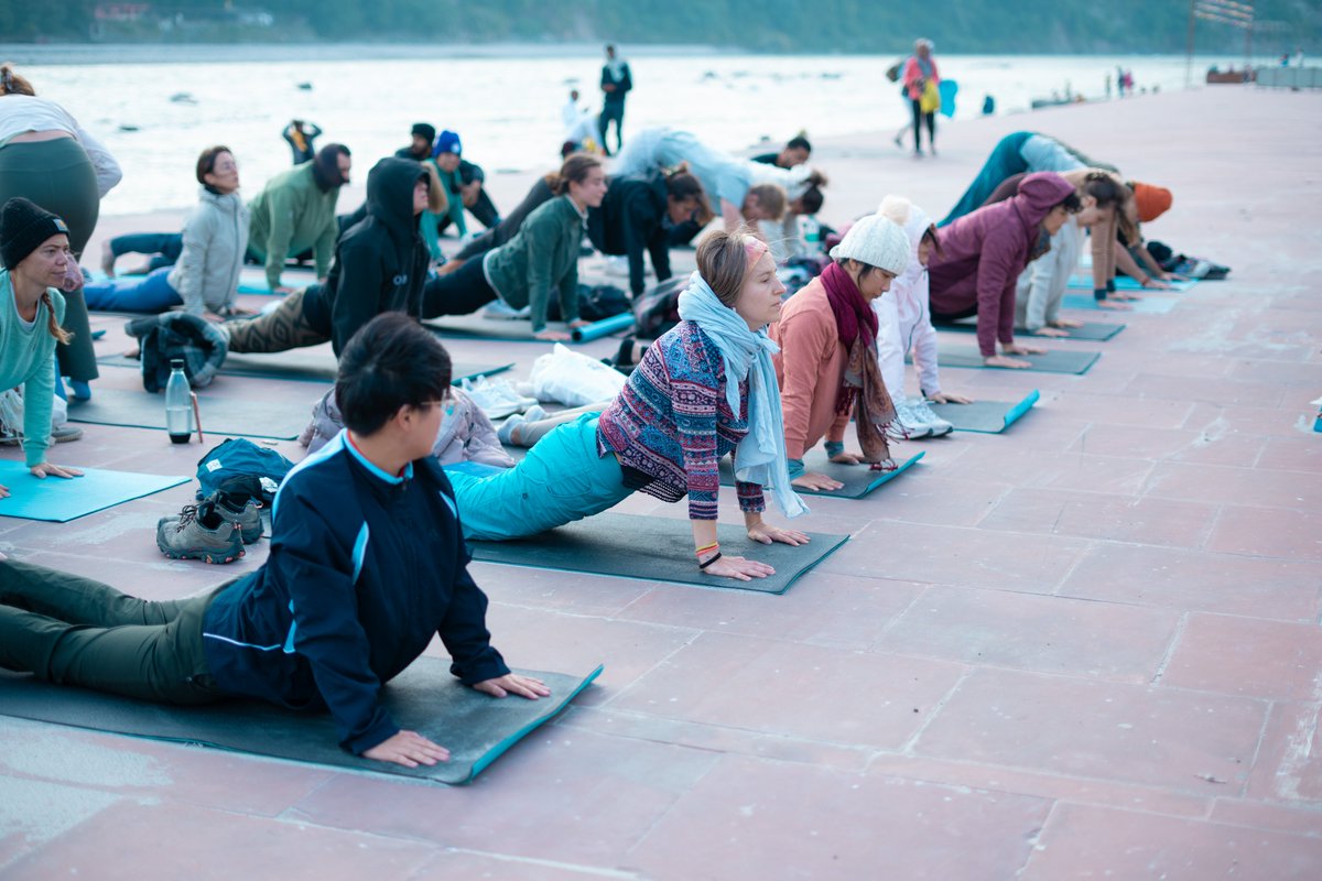 yogavidyamandir's tweet photo. Our Ashtanga Yoga Teacher Training is designed to deepen your understanding of asana, breath, alignment, philosophy, and the true essence of this powerful yoga system. 
#AshtangaYoga #AshtangaYogaTeacherTraining #YogaTeacherTraining #YogaCourse #YogaLife #YogaPractice https://t.co/OCXI9hOw9x
