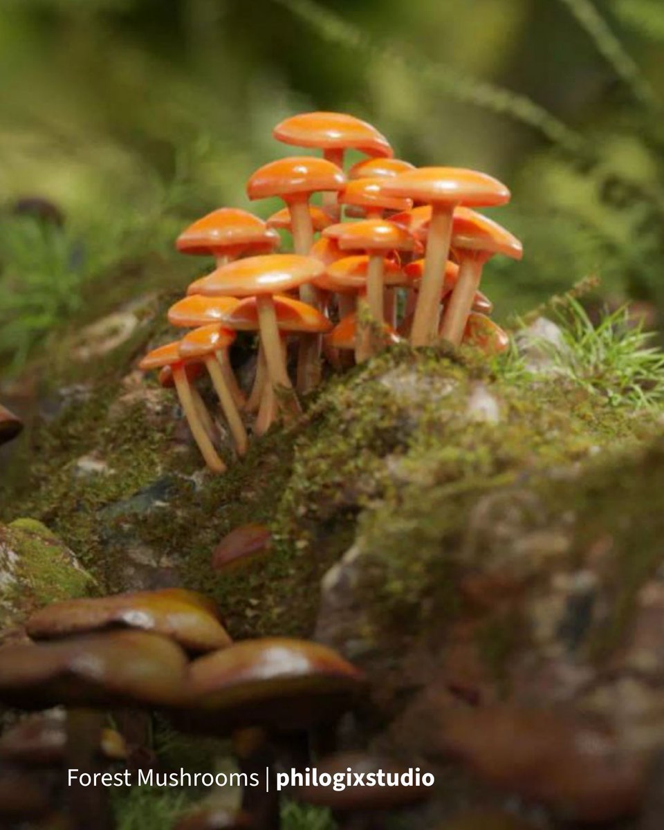 CG_Trader's tweet photo. There’s something magical about mushrooms 🍄✨️ 

Mushrooms are to the forest what trash bags are to an urban street: the little things that make your scenes feel real. 

Explore the collection at https://t.co/I9rzOreHYF and 🔎 mushrooms.

#cgtrader #mushrooms #3Dmodeling https://t.co/hUCwVAwSHZ