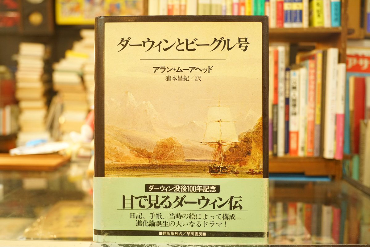 ennoniwa's tweet photo. 新入荷。 https://t.co/gOUZv1Oq46