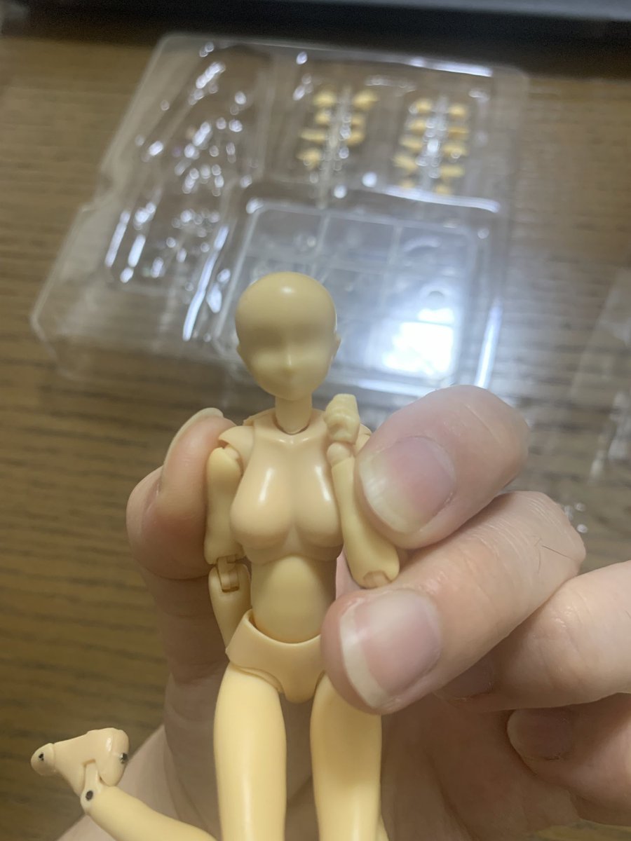 INOLI_YOLU's tweet photo. イラストの企画書を作るのに協力してくれるデッサン人形のヒトミちゃん(うさぎ) https://t.co/6f4b7doOOq