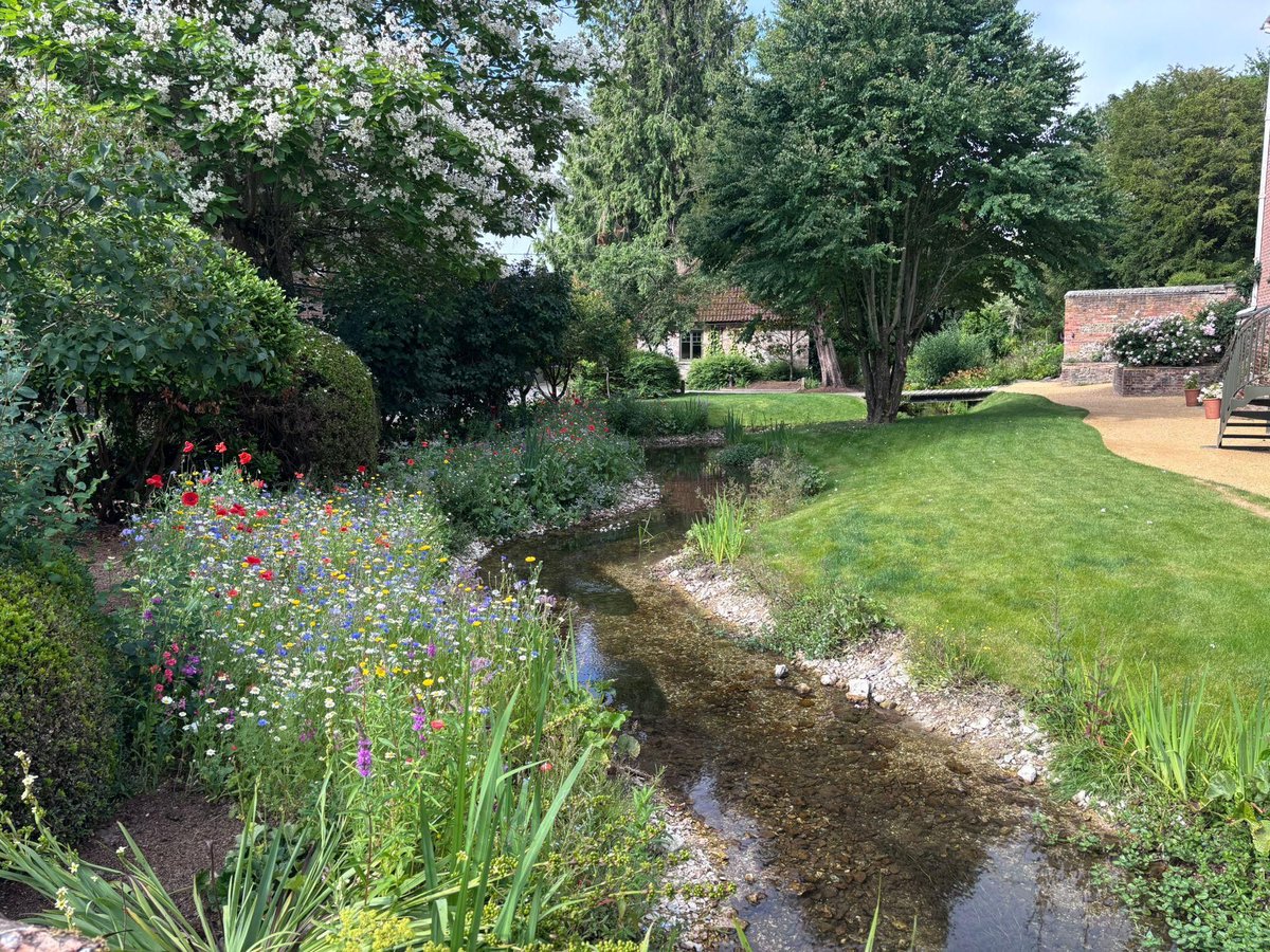 RjbullL's tweet photo. Every stage was carefully planned to protect the surrounding landscape and maximise long-term ecological benefits. 

It's a reminder that river restoration isn't always about kilometres of river; sometimes just 30 metres can make a real difference.

#RiverRestoration #ChalkStream https://t.co/I231kdR4q3