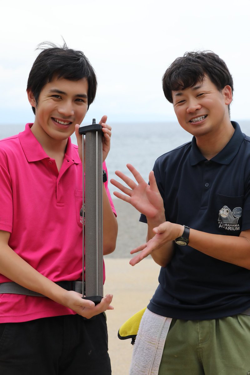 katurahama_aq's tweet photo. Amazonほしい物リストより、いろいろなものが届いています！！
プレゼントしてくださった皆さま、本当にありがとうございます。
公式X以外でも、いただいたものの設置、使用風景を写真や動画でご報告しております！

各種SNSぜひ覗いてみてください✮*｡ﾟ

館長もぼちぼち！療養しながらお仕事中！ https://t.co/7s2MqlMjtu
