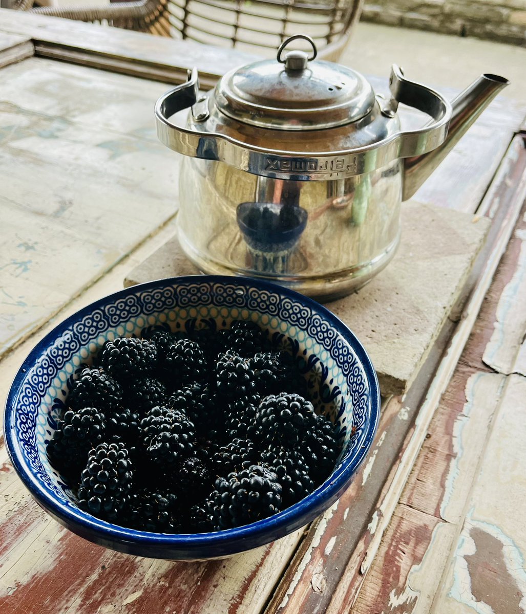 IngridKeestra's tweet photo. Kijk toch eens, wat een rijkdom! 
💜💙🖤

#bramen #lekker #groot #3struiken 
#buitenleven #Patosfa https://t.co/ity6Mm0iim