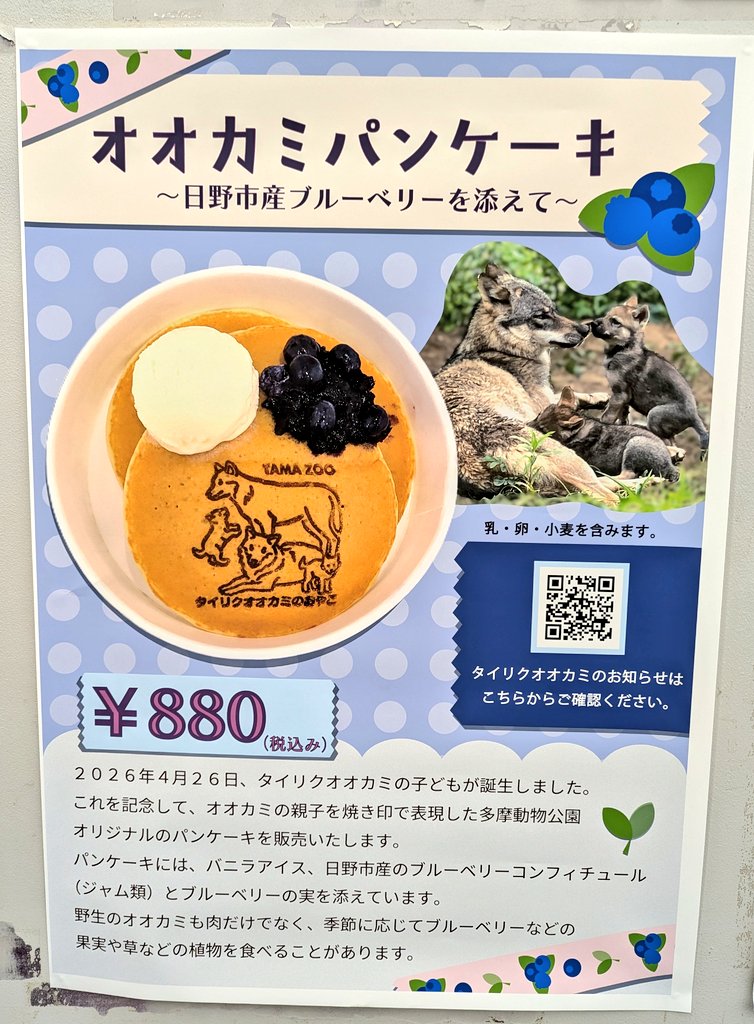 tamazoowalking's tweet photo. そうきましたか😆
明日食べようかと思います😋
#多摩動物公園 #オオカミパンケーキ https://t.co/GQbuROmbDP
