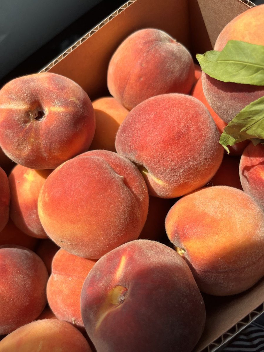 irapersa's tweet photo. emang boleh ada hair &amp; body mist yang wanginya kaya buah peach beneran?

mana konsepnya “fine dining”. pas sniff wanginya kaya lagi beneran kupas buah peach, so fresh https://t.co/3rxctYwIEH