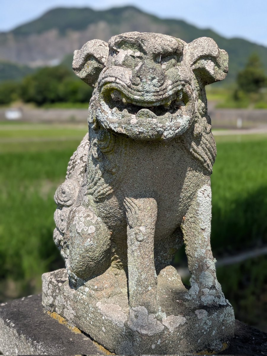 ユニークな狛犬さん⛩️ #雲氣神社