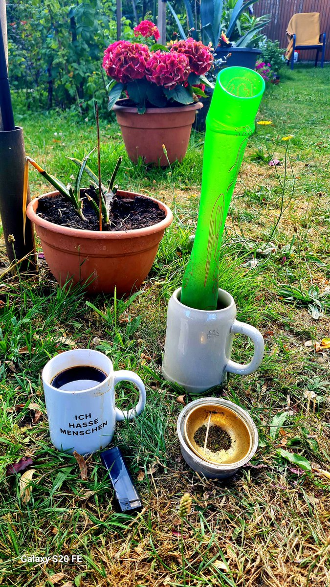 StanDietmar's tweet photo. 😎🌴🌞 Breakfast... 😉🤘🏻💯🫶🏻🌞🌴😎 https://t.co/d1FV9Jt9L3