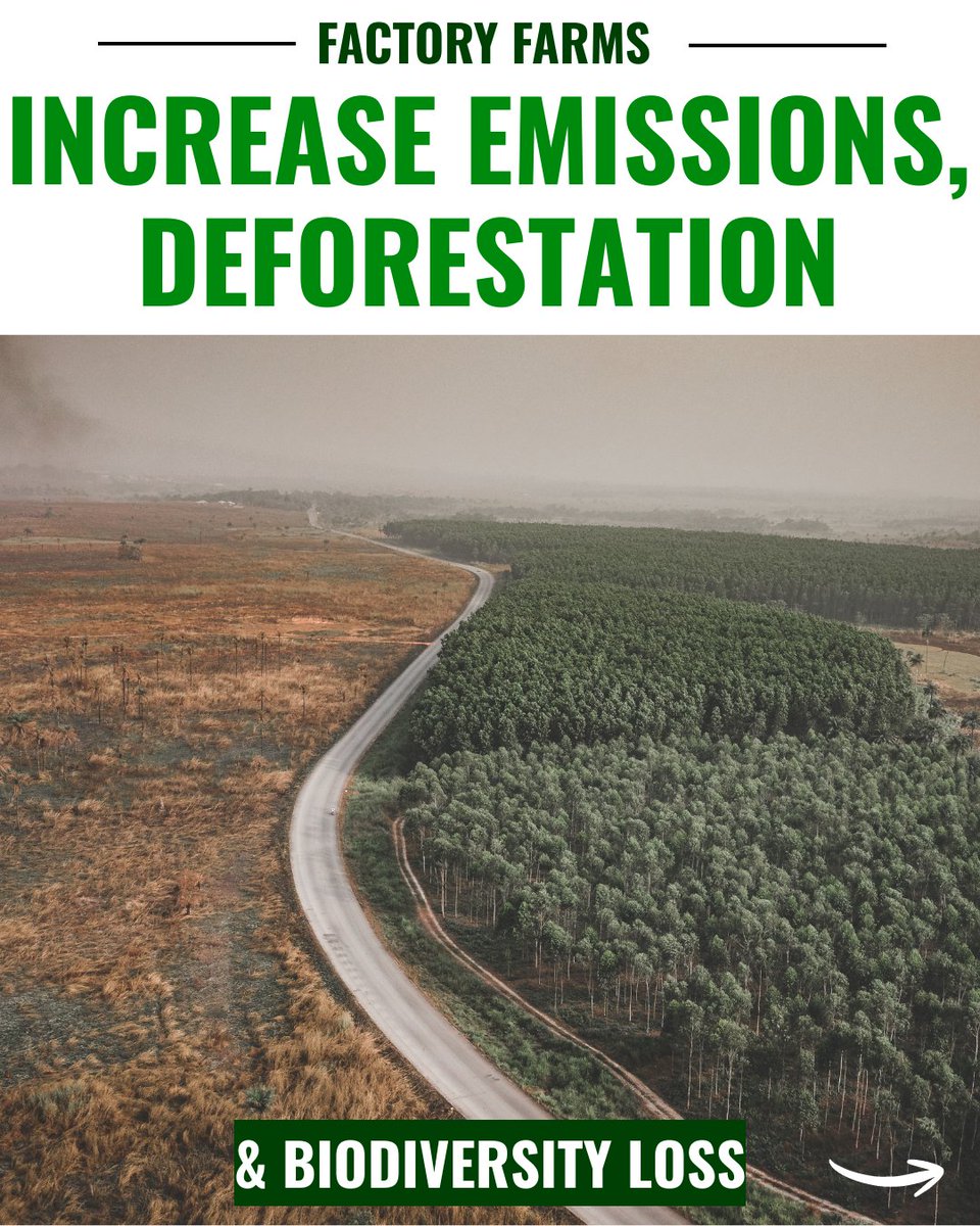 CIWF_EU's tweet photo. Our food system is pushing our planet to the limit.

But we can change course: the Good Food for All ECI calls on the @EU_Commission to transform food production and support sustainable diets.

Sign the ECI and demand action from the EU now: https://t.co/T0kiMMj9F3 https://t.co/ayPQdYbNBK
