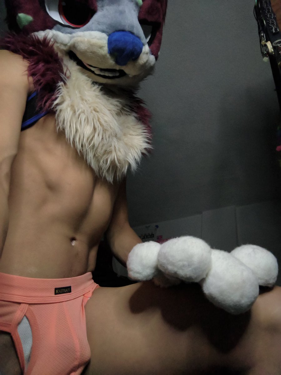 AlixJava's tweet photo. Será que esta tierna nutria estará lista para portarse mal? 😏✨😈 https://t.co/09KNSx1ji5