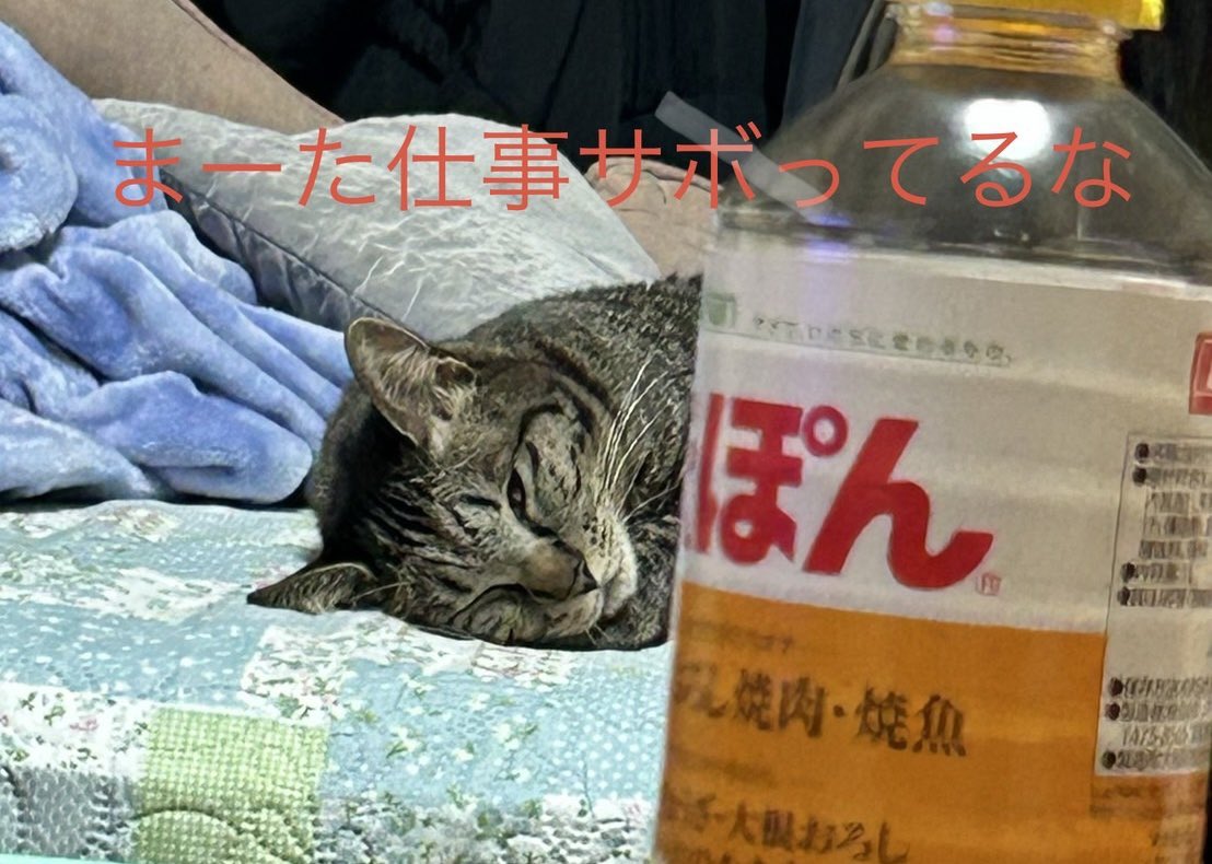 Syadou5648's tweet photo. ネココレ(3) https://t.co/NiqYfe8FS4