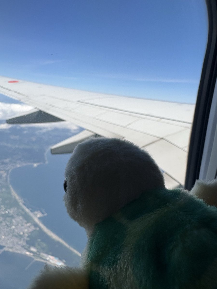 QQQkei's tweet photo. 沖縄✈️🌺🌴🐠 https://t.co/SNbM8jkYmo