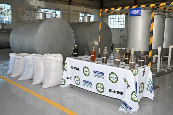 LindaNcube16's tweet photo. Today, President Dr @edmnangagwa  is set to commission the Mutoko Bioeconomy Industrial Park in Mutoko. The facility is a significant step towards transforming university research into commercial enterprises, creating jobs and  stimulating rural industrialisation.
#Innovation https://t.co/cFtDVaZBGn