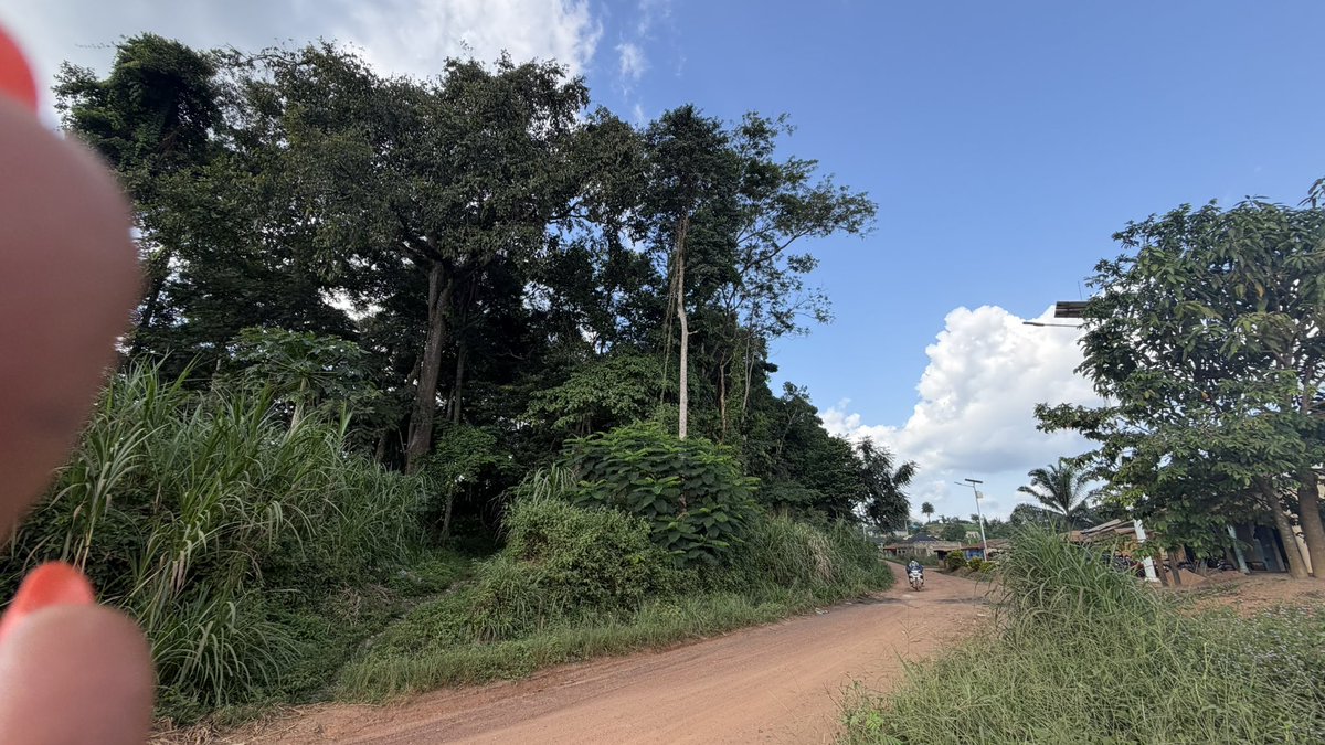 CurtisMonique's tweet photo. Découvrez Samoé! 🇬🇳
Fondée en 1730, Samoé est une commune rurale de la préfecture de N’Zérékoré, au cœur de la Guinée forestière. Près de trois siècles d’histoire, de culture et d’identité.
Chaque territoire a une histoire à raconter.

#Samoé #Guinée #territoireGN #Terragroup https://t.co/Sddxg6YRSR