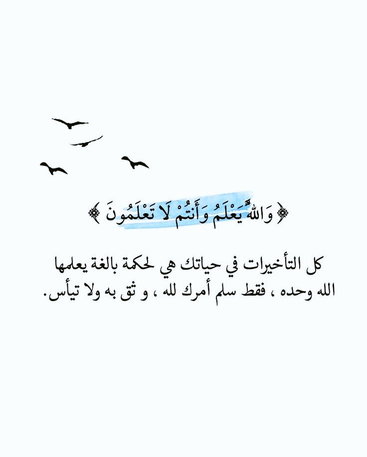 motm2na_'s tweet photo. وَاللَّهُ يَعْلَمُ وَأَنتُمْ لَا تَعْلَمُونَ🩵.. https://t.co/R6oO8CHXHa