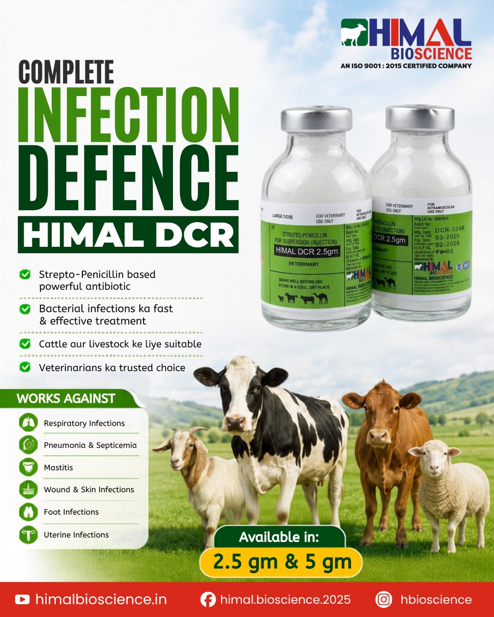Himalbioscience's tweet photo. Miliye Himal DCR se — aapke livestock ki complete infection defence solution! 

📦 Available hai 2.5gm &amp; 5gm packs mein
👉 Apne vet se baat kariye aur aaj hi switch kariye Himal DCR pe!

#himalbioscience #livestockhealth #animalnutrition #dairyfarmers #trending #fyp #animalcare https://t.co/1PEQ0nqPMu