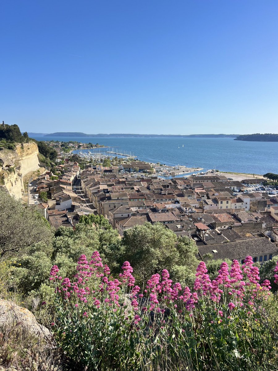 departement13's tweet photo. 🗳💙❤️ La #Provence vue par vous !
📍 #SaintChamas
📸 L’élection de la #photo de la semaine est ouverte.
👏 Bravo à veronique.pelissero pour ce #JeudiPhoto 🌾.
📲 Sur #Instagram, taguez-nous et ajoutez le hashtag #Département13 dans votre post, c’est comme ça que nous repérons vos plus belles photos pour les partager sur nos réseaux.
Nous vous souhaitons une belle journée 😎 !