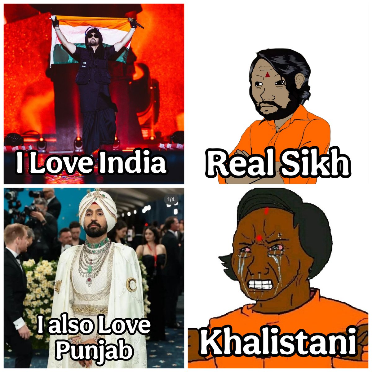 Messicookbook's tweet photo. Apparently, just loving your state makes you a Khalistani. https://t.co/doOVqK8Kns