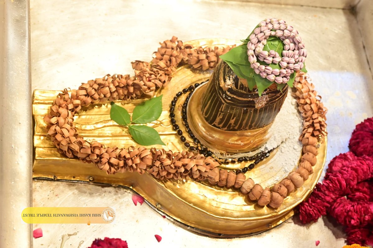 ShriVishwanath's tweet photo. श्री काशी विश्वनाथ जी की मध्यान्ह-भोग आरती I
#kashi #darshan #kashivishwanath #VishwanathDham #blessings https://t.co/qUNk4GWYsD