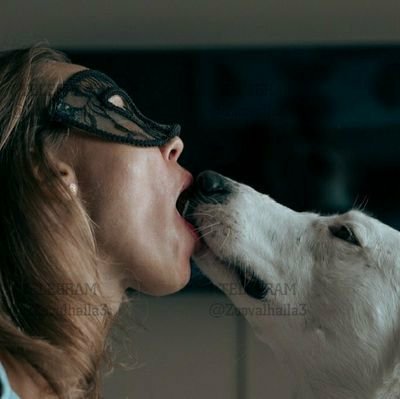 Dogknottlove's tweet photo. Are you a k9 lover 🔞💦? My dog goes deeper in every Dropbox 🍆🦮💦Tele=https://t.co/89bUtrkpZE

#zooprideisvalid #zoophile #k9girl

#beastiality #zoopride #dogknot #hypnotistzoophilesarevalid #dogknot #grope #Pardil

#zoophiletwt #zootwt #zoopositivit
#dogknott #PetLife https://t.co/J7sj7M1skv