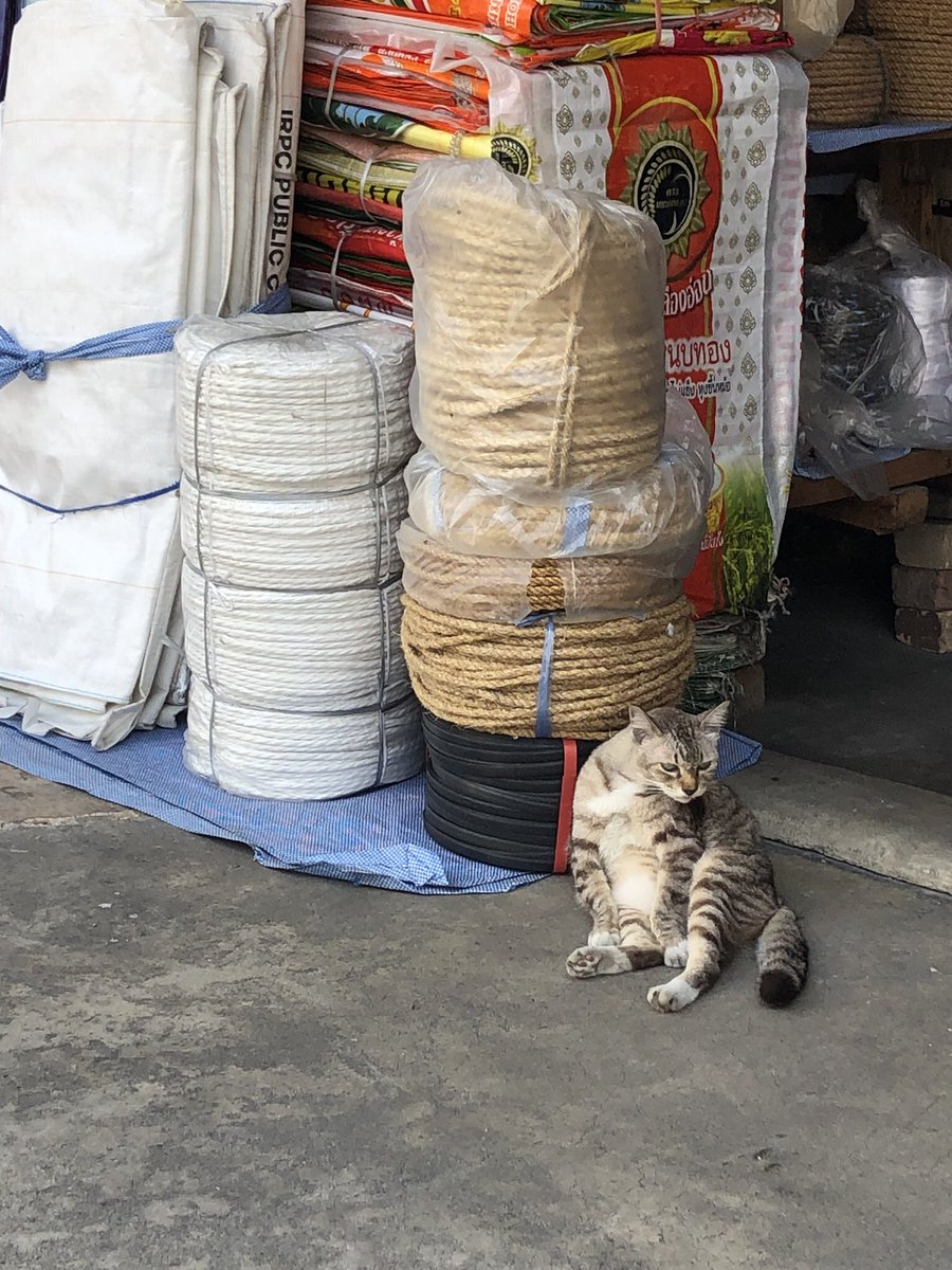 lenkiides's tweet photo. นี่ก็สะสมไว้ไม่น้อย https://t.co/Ig5WTpIFUT