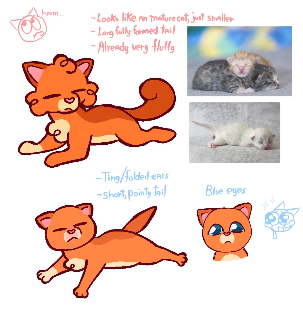 ConffeteXD's tweet photo. I think my  ONLY  warrior cats pet peeve is  when some artists draw newborn kits  but they  don't actually look  like newborns 🥺🥺🥺 https://t.co/s2o0Oro9iC