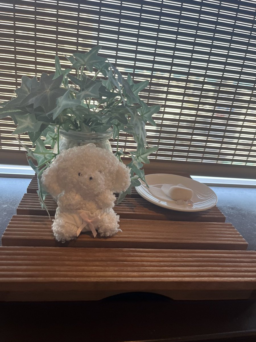 nyan2maruo's tweet photo. #本日のかわい子ちゃん
#かわいいものクラブ

職場にかわい子ちゃん同伴です https://t.co/nHe6xudrLi