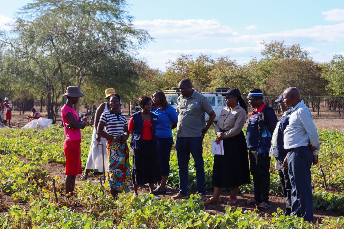 PlanZimbabwe's tweet photo. Young people in Chiredzi are turning skills into businesses and building brighter futures. Through the Sparking the Future of Youth &amp; KOICA projects, partners are strengthening opportunities that promote economic independence, reduce poverty and child marriage. https://t.co/NVUGYtZXPD