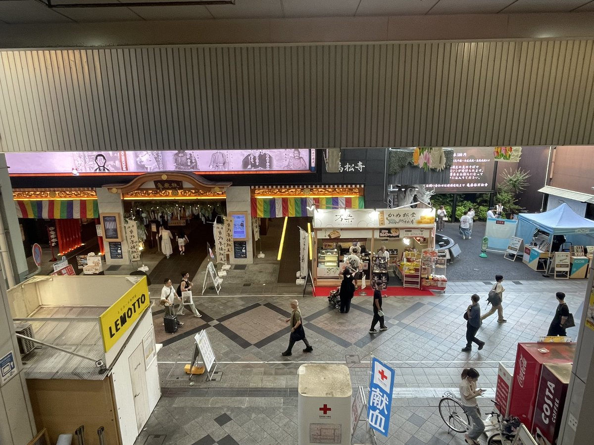 おーすにログイン！ 今日は #木ぼど です🎲