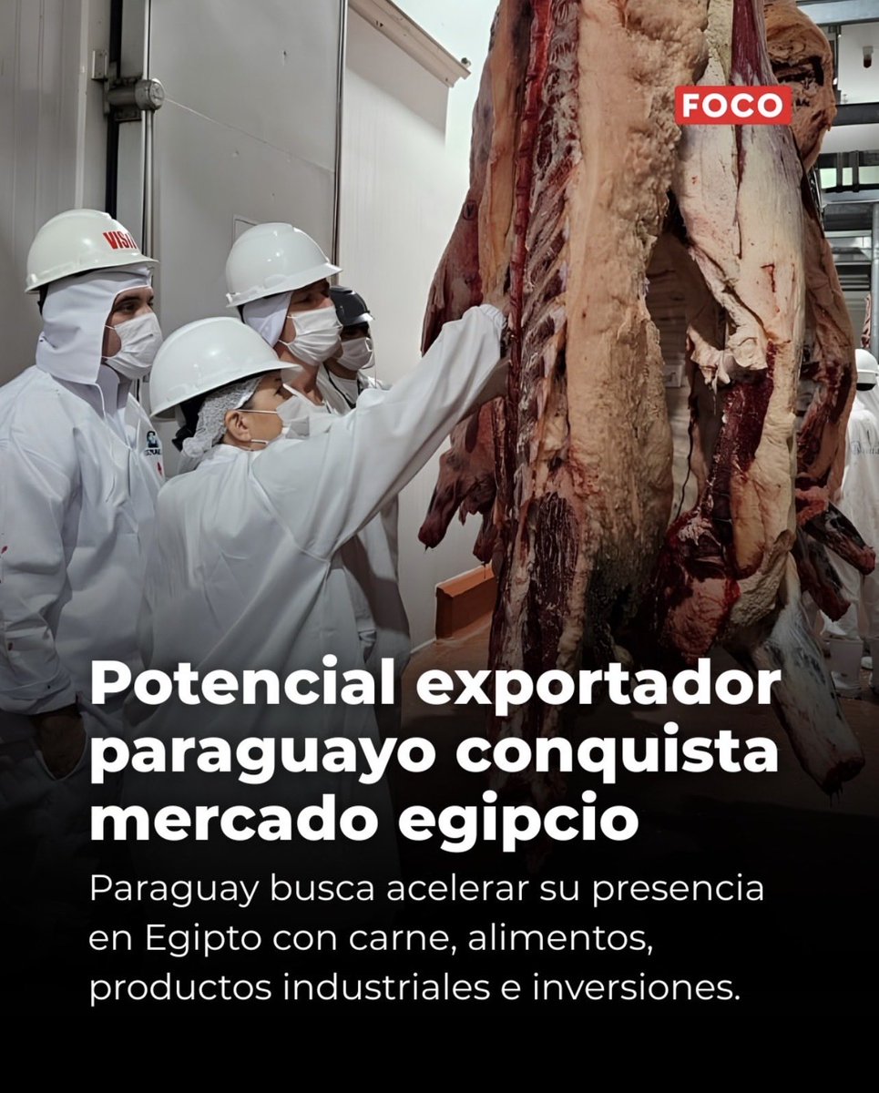 embaparqatar tweet picture