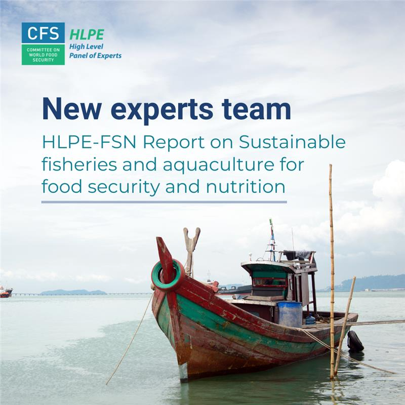 hlpe_cfs's tweet photo. 📢 New drafting team appointed for the upcoming HLPE-FSN report on sustainable fisheries and aquaculture for food security and nutrition, to be presented at @UN_CFS  plenary in 2027.

Learn more⤵️
https://t.co/6zy55Kxrv4 https://t.co/Bllt2321dQ