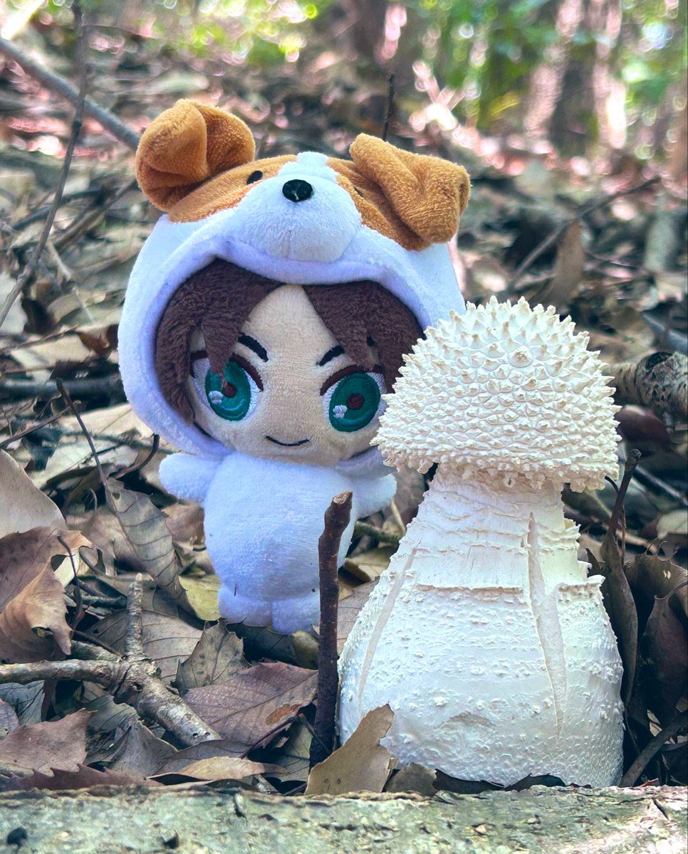 lovemayomayo's tweet photo. えれわんとでっかいきのこ🐶🍄‍🟫 https://t.co/MXqzEYqzGI