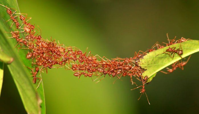 onlyonelife1995's tweet photo. đoàn kết tạo nên sức mạnh phi thường
cùng fl và tương tác với nhau để lấy tiền của anh Elon nhé cả nhà hihi https://t.co/0in1MzltMW