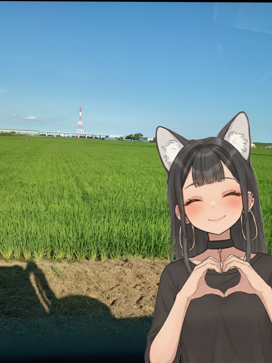 1ocrippleo5's tweet photo. 皆様お久しぶりです!!!!

5月の田植えから
1年目ということもあり色々とダウンしたり
草刈りやなんやかんやおわれてます！🐺笑

ちょっと9月までバタバタしそうですが
皆に新米をお届けするために
準備してますのでお楽しみに🐺🌾✨

 #農業系VTuberくりりん
 #新人農家 https://t.co/jphJCT9zhY