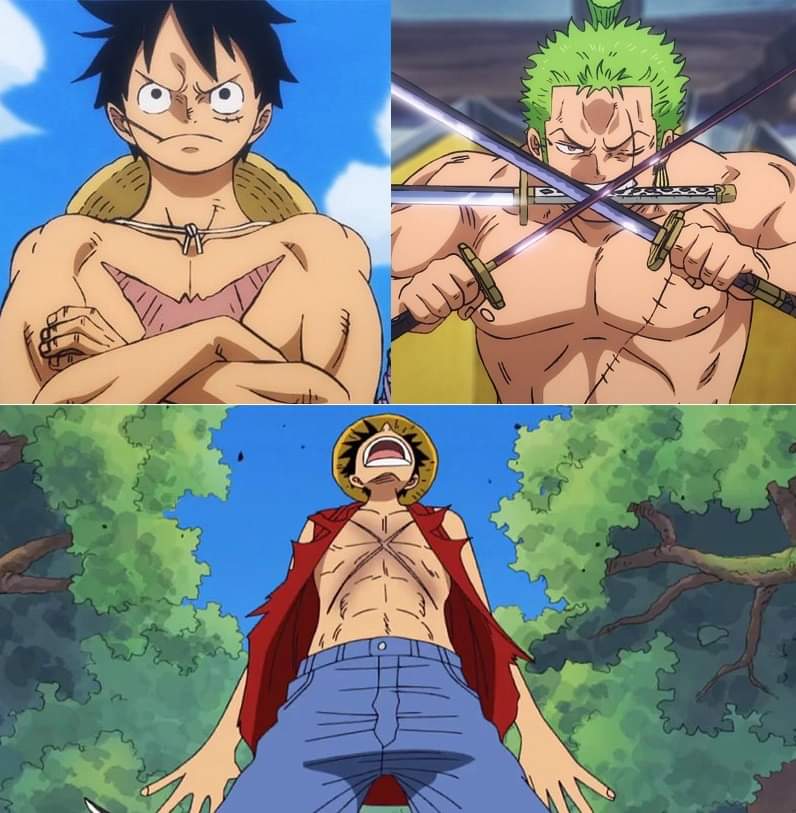 Dking0fHell's tweet photo. #ONEPIECE1188 

Then, Now, Forever 

Luffy will always be a zoro victim https://t.co/tsYvV0tQVj