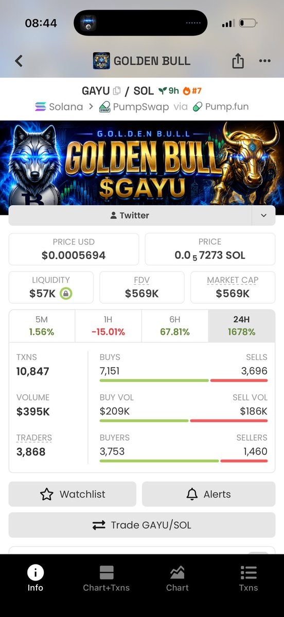 SadauMasud's tweet photo. We pray to Allah to make this like more than 100million market cap on @GAYU https://t.co/XBAXXU8Mcr