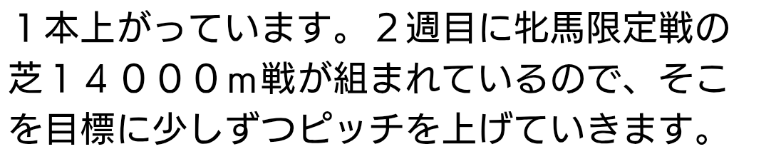 chamon_sp's tweet photo. バティック🏇
デビュー決まりました
この距離は過酷😵‍💫 https://t.co/S6awra37Ax