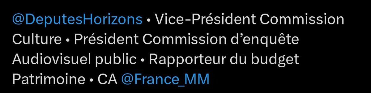 gogaetit's tweet photo. @JPatrierLeitus @CNEWS @EPhilippe_LH @Avec_Edouard @JeunesEdouard C est qui celui là encore ? Bordel rien que regarder le CV Twitter tú comprends la crédibilité de l individu https://t.co/7wEwRLnhfA