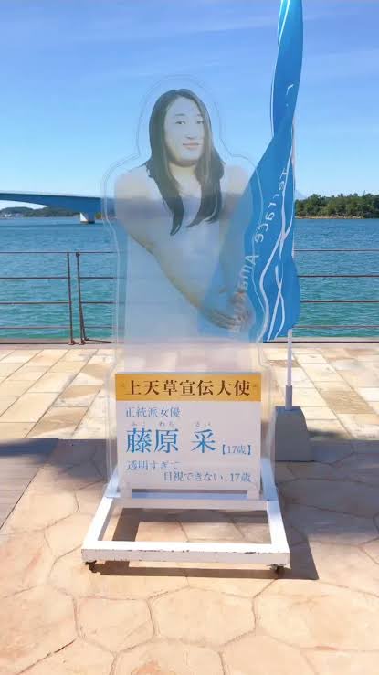 kwus's tweet photo. このえばちょっと透けてるよね？笑
透明すぎて目視できない藤原采(17歳)じゃん。
それにしても美少女すぎる。
誰かが言ってたけど桂正和作画のヒロイン感すごい。 https://t.co/4CbJ7qKRig