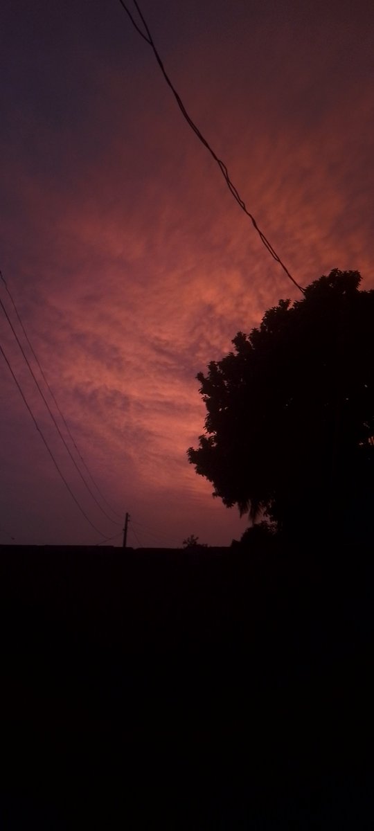 Paul tweet media