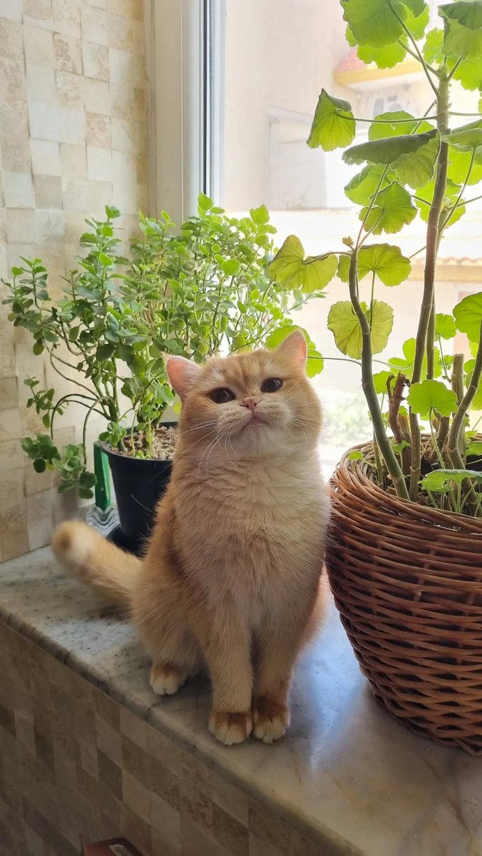 Havin_75's tweet photo. من عسلچه خونمونم :))) https://t.co/QIchrOyCC1