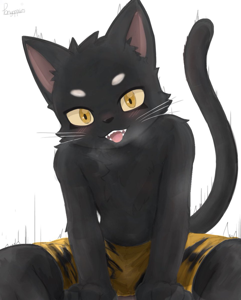 ponyoppui's tweet photo. #ケモナーさんと繋がりたい　#イラスト　
※ちょっと熱がある野良猫 https://t.co/bB3ETzwnJV