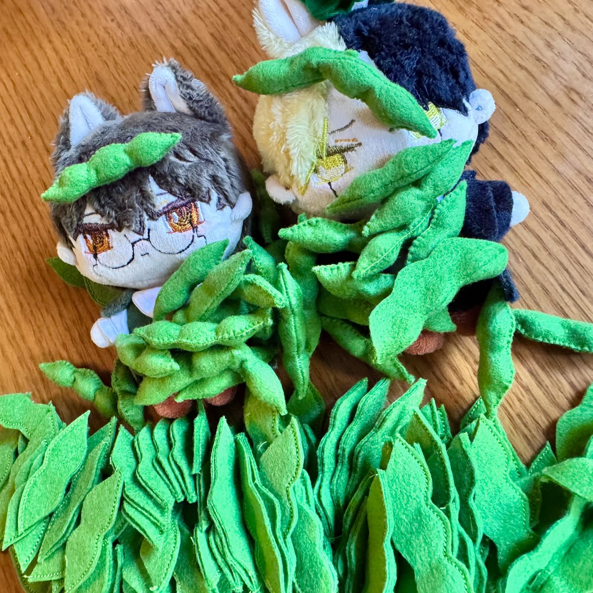 yt_gr_e's tweet photo. スペ聴きながら枝豆作ってた。 https://t.co/iEvo4LxvxH