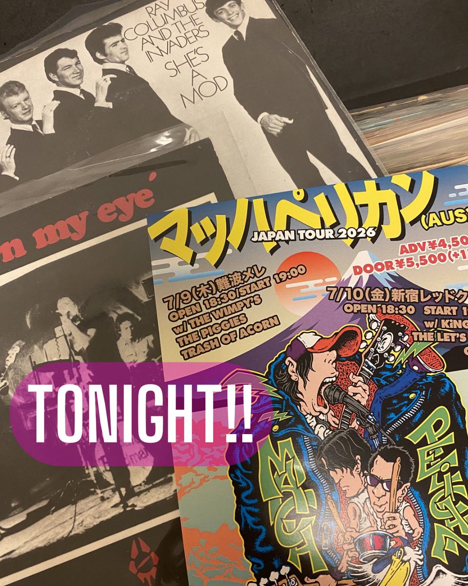 本日！マッハペリカン（AUS）JAPAN TOUR🐧大阪難波メレからスタート
