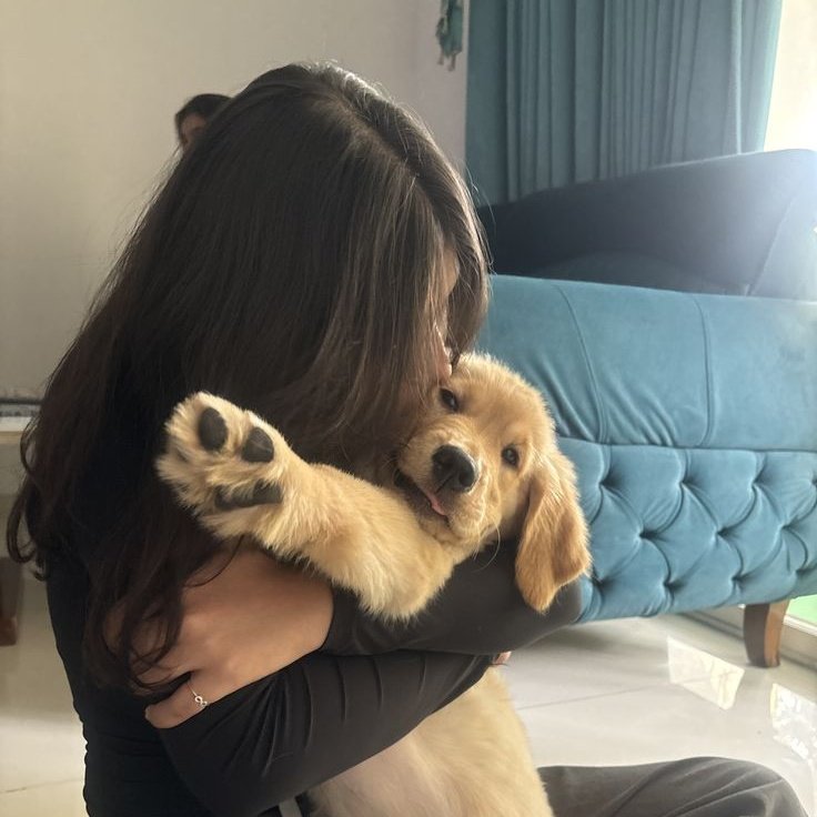 K9_Kaylaa's tweet photo. Every homemade K9 series comes with memorable blast🥵💦 never to be forgotten😊, watch all my home made videos on my telegram link below
https://t.co/3czt5nE80v

#zoophillia #zoosarevalid #beastiality #dogknot #zooprideisvalid 
#antizoophileantizoo #K9 #dog https://t.co/y9qYjQuqjb