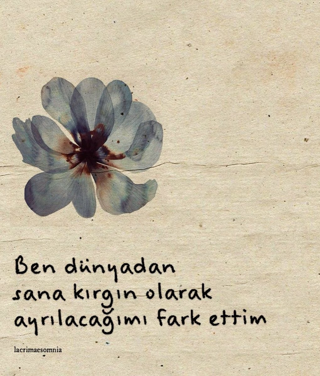 lacrimaesomnia's tweet photo. https://t.co/gQq0SyScU4