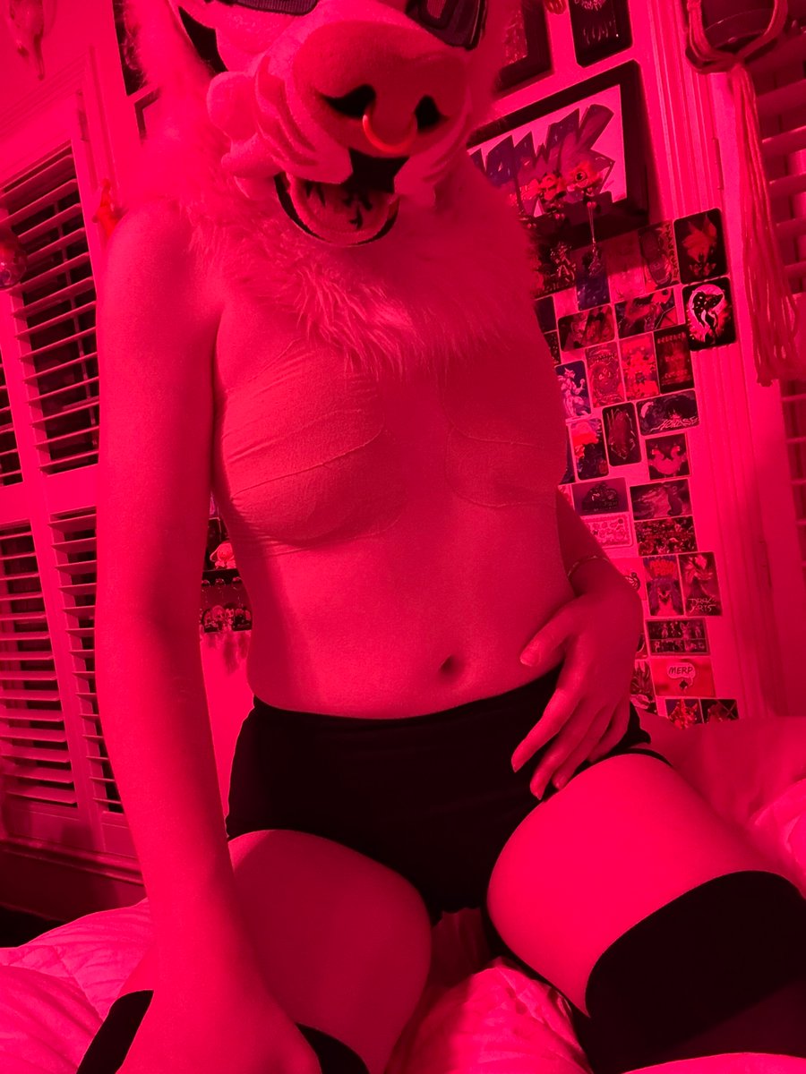 _Hawk_AD_'s tweet photo. It’s 3 am and I should DEFINITELY be sleeping for my 10 am flight. 

Oh well. Me in trans tape, because I like the way it makes me feel. 

#furry #furryfandom https://t.co/6vA0A9Dd0D