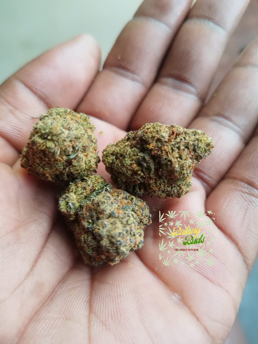 Baking_Buds's tweet photo. Girl Scout Cookies (GSC).
Granddaddy Purple
https://t.co/nl9FwzA4dZ https://t.co/JT6zFZWCDP