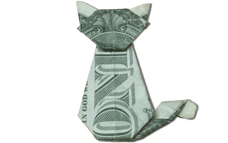 AxScarking's tweet photo. Seen Internet Cat Money run a few times, rugged every time.

feels like its about time for the OG to run.

$ICM 12.5k gamble

Bi7X9vxqGozZoXvgyJ2y9tzdKQ1QVpt5LjYF8PoFpump https://t.co/AQ2tgjZ2fP